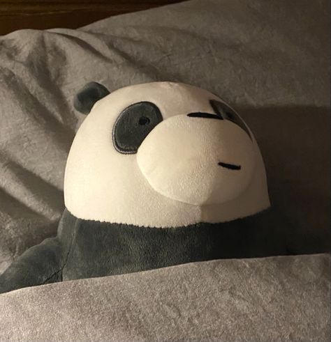 Panda from We Bare Bears in bed Cute Panda Plush, Stuffies Panda, Panda Plushie Aesthetic, Panda Dp, Panda We Bare Bears, Aesthetic Panda, Panda Pfp, Panda Aesthetic, We Bare Bears Panda