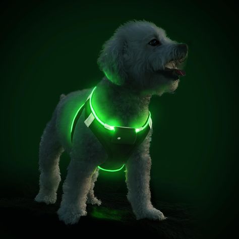 PRICES MAY VARY. Keep Your Dog Safe & Visible: Our light up dog harness is designed to provide 360° bright light, making your dog visible up to 550 yards away. This greatly improves your pet's safety and helps you spot them easily, even in low-light conditions. Soft and Comfortable: This light up dog vest harness is padded on the front and back for maximum comfort. It's also lightweight, so your dog won't feel weighed down when wearing it. USB Rechargeable: The LED dog harness is easy to charge Reflective Dog Harness, Dog Accesories, Dog Vests, Catahoula Leopard Dog, Dog Vest Harness, Up Dog, Dog Vest, Small Puppies, Dog Wear