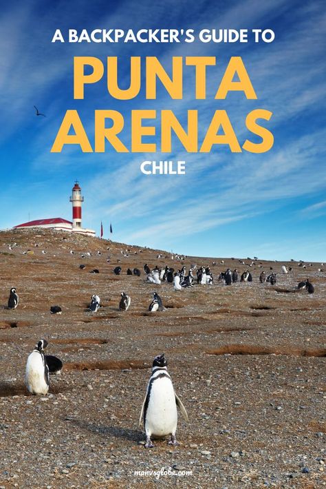 South America Travel Itinerary, Budget Guide, Latin America Travel, Backpacking South America, South America Destinations, Patagonia Chile, Punta Arenas, Chile Travel, Backpacking Asia