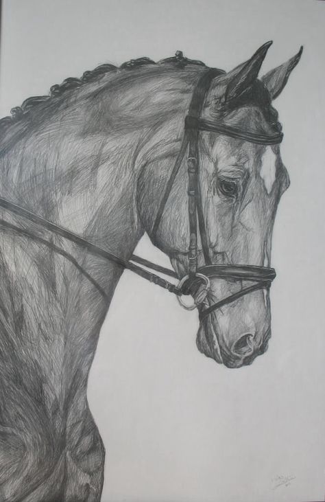 Horse Pencil Drawing, Horse Head Drawing, Horse Art Drawing, Horse Sketch, Drawing Eyes, Horse Artwork, Equestrian Art, Drawing Faces, Art Drawings Sketches Pencil