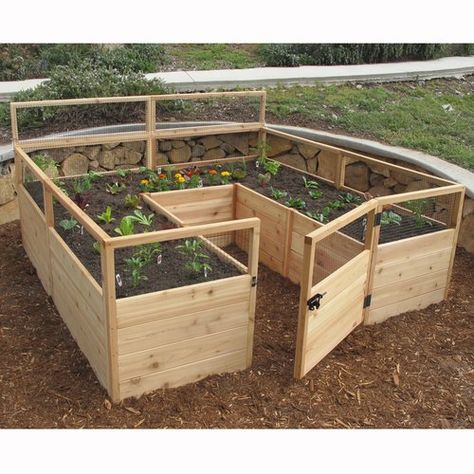 Wood Raised Garden Bed, Cedar Raised Garden Beds, Deer Fence, Cedar Garden, Diy Raised Garden, Raised Garden Beds Diy, Garden Area, Garden Types, Pallet Garden