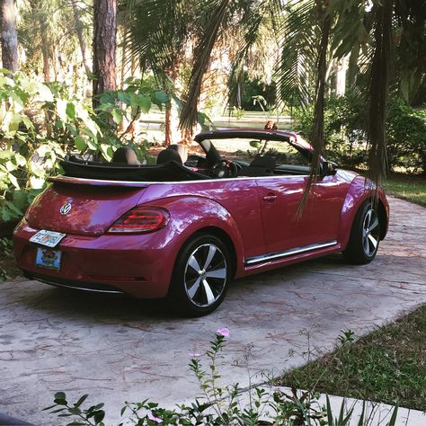 Red Vw Beetle Convertible, Vw Beetle Aesthetic, Vw Buggy, Red Convertible, Vw Beetle Convertible, Volkswagen Beetle Convertible, Bug Car, Girly Car Accessories, Old Vintage Cars