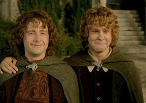 Pippin And Merry, Merry And Pippin, Fantasy Literature, Two Towers, Into The West, The Two Towers, Movies And Series, Luke Evans, Jrr Tolkien