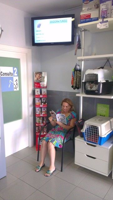 Vet Waiting Room, Hospital Ideas, Pet Hospital, Vet Clinic, Hospital Design, Vet Clinics, Veterinary Hospital, Animal Hospital, Waiting Rooms