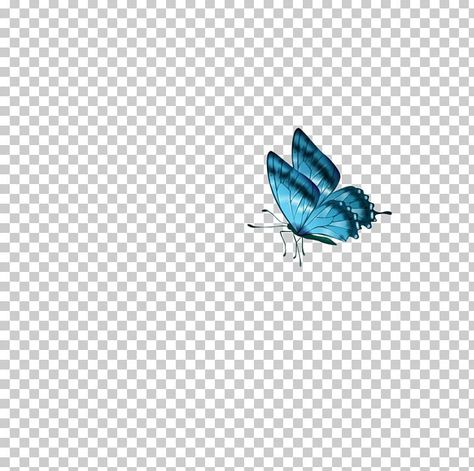 Butterfly Png Editing, Teal Butterfly, Butterfly Png, Folder Icon, Instagram Frame Template, Background Images Hd, Cute Butterfly, Instagram Frame, Frame Template