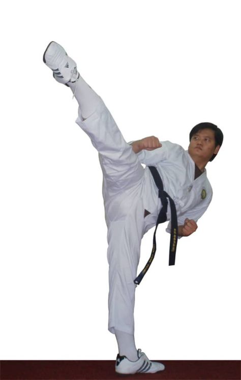 Karate Kick, White Belt, Taekwondo, Black Belt, Never Give Up, Karate, Martial Arts, Harem Pants, Quick Saves