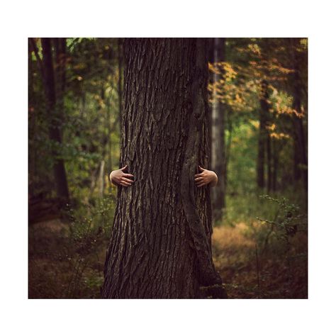 Restart My Heart ❤ liked on Polyvore Tree Hugging, Flotsam And Jetsam, Love The Earth, Haunted Houses, Creative Poster Design, Tree Hugger, Closer To Nature, Beautiful Tree, Walking Dead