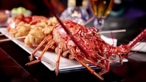 Get LKG Lobster Lollipops Recipe from Food Network Lobster Lollipops, Lollipops Recipe, Latin House, Fried Lobster, Lollipop Recipe, Tempura Batter, Video Food, Seafood Entrees, Tomato Gravy