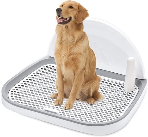 Indoor Dog Potty, Dog Litter Box, Potty Toilet, Dog Toilet, Elderly Dogs, Dog Potty Training, Dog Potty, Dog Area, Dog Box