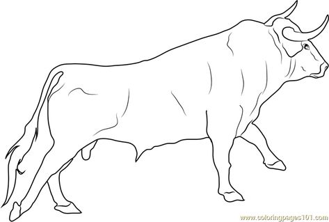 how to draw realistic cows | Spanish Fighting Bull Coloring Page Color Online Bull Coloring Page, Bull Outline, Spanish Bull, Cow Coloring Pages, Draw Realistic, Coloring Pages Inspirational, Bible Coloring Pages, Printable Kids, Bible Coloring