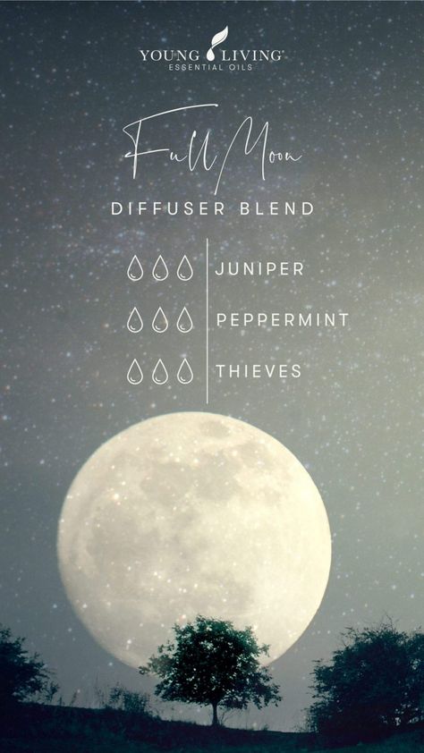 Halloween Diffuser Blends Young Living, Moon Diffuser, Young Living Essential Oil Diffuser, Diffuser Blends Young Living, Essential Oil Perfumes Recipes, Essential Oil Combinations, Essential Oil Diffuser Blends Recipes, Young Living Essential Oils Recipes, Essential Oil Diffuser Recipes