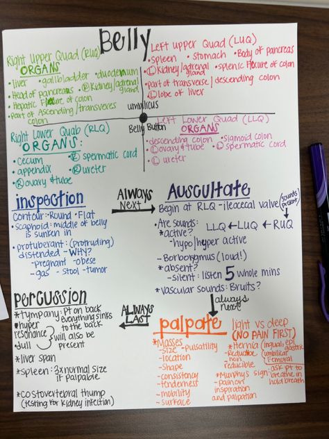 How To Study For Health Assessment, Gi Assessment Nursing, Abdomen Assessment Nursing, Abdominal Assessment Nursing, Physical Assessment Nursing Cheat Sheets, Health Assessment Nursing Notes, Physical Assessment Nursing, Nurse Assessment, Nursing Physical Assessment