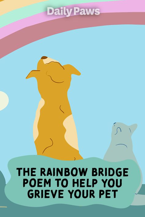 The rainbow bridge has become shorthand for the place pets go after they pass away. We explore the phrase’s origin and when it might—or might not—help grieving pet owners. #petetiquette #petowner #petparent #activepets #dogactivities #catactivities #rainbow #rainbowbridge #petpoem Rainbow Dog Poem, Poem For Losing A Dog, Poems About Pets Passing, Goodbye To Dog Quotes, Rainbowbridge Dogs Quotes, Poem For Dog Passing, Dog Rainbow Quotes, Prayer For Loss Of Pet Dog, Quotes About Pets Passing