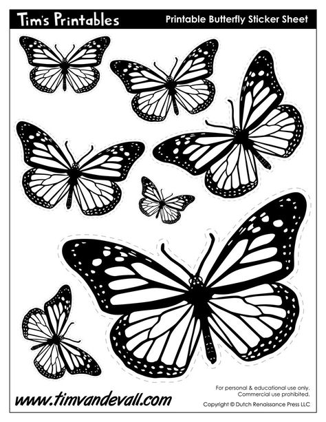 Butterfly Templates - Tim's Printables Butterfly Printable Template, Insect Coloring Pages, Printable Butterfly, Butterfly Outline, Butterfly Cutout, Butterfly Project, Butterfly Stencil, Butterfly Template, Shape Templates