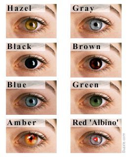 1000+ ideas about Eye Color on Pinterest | Younique, Makeup ... Eye Color Chart Genetics, Eye Color Facts, Rare Eye Colors, Eye Color Chart, Rare Eyes, Eye Facts, Different Colored Eyes, Behind Blue Eyes, Hair Color Chart