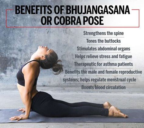 Yoga Poses With Benefits, Cobra Pose Benefits, Yoga Poses Benefits, Bhujangasana Pose, Yoga Pose Benefits, Yoga Postures Asana, Cobra Pose Yoga, Hinduism Quotes, Dharma Yoga