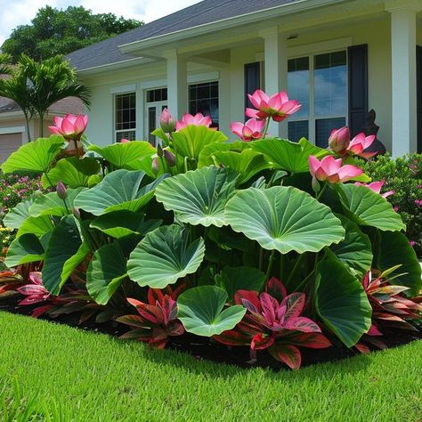 Garden Landscaping Ideas Layout, Hibiscus Landscaping Ideas, Balinese Garden, Florida Landscaping, Outside Plants, Lush Lawn, Tropical Garden Design, Front Yard Garden Design, Side Garden