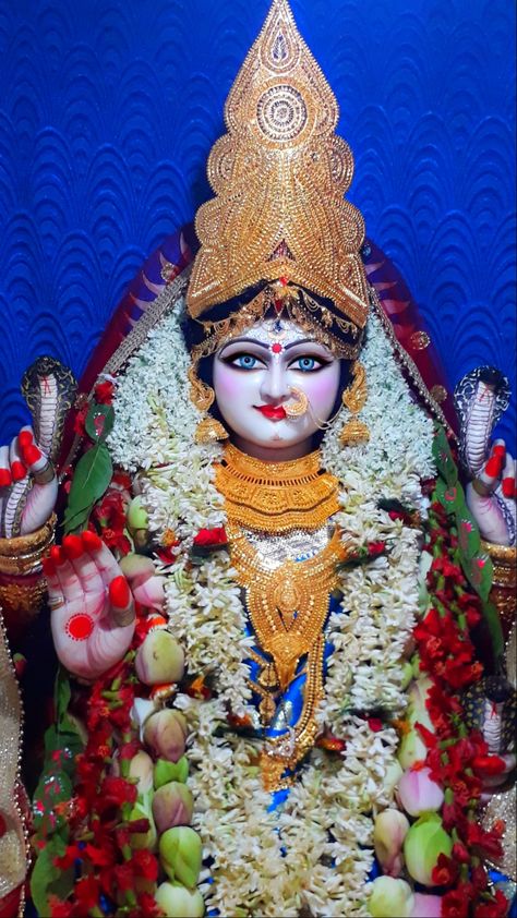 Mansha Devi, Bhagvad Geeta, Manasa Devi, माता रानी, Rama Image, Mata Rani, Ganesh Photo, Kali Goddess, Durga Maa