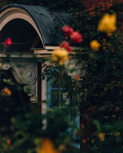 Robbie Lawrence on Instagram: “Freud’s garden for @vogueitalia” Robbie Lawrence, Sigmund Freud, Flora And Fauna, Cottage Garden, London England, Lamp Post, England, Cottage, Christmas Tree