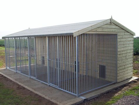 Dog Kennel Blueprints Plans - Bing Images Dog Enclosures, Portable Dog Kennels, Kennel Ideas Outdoor, Building A Dog Kennel, Cheap Dog Kennels, Pallet Dog House, Dog Boarding Kennels, Insulated Dog House, Outdoor Dog Kennel