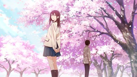 Kimi no Suizou Wo Tabetai Sakura Yamauchi, Anime Dubbed, Tamako Love Story, Anime Release, 2018 Movies, 1 September, Shiga, Fukushima, I Want To Eat