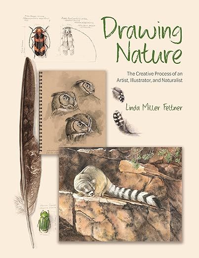 Drawing Nature: The Creative Process of an Artist, Illustrator, and Naturalist: Feltner, Linda Miller: 9780691255385: Amazon.com: Books Loose Sketches, Meaningful Images, Drawing Basics, Hand Lens, Artistic Process, Drawing Nature, Nature Artists, Artist Sketchbook, Framed Botanicals