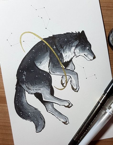 A Wolf, A Drawing, Black And White, Stars, White, Black