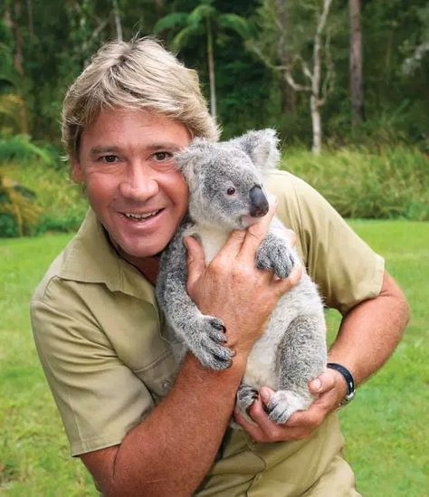 Robert Irwin's new photo cuddling a koala proves he looks exactly like his late dad, Steve Irwin Terri Irwin, Happy Birthday Steve, Irwin Family, Robert Irwin, Crocodile Hunter, Bindi Irwin, Steve Irwin, Photo Recreation, Wild Kingdom