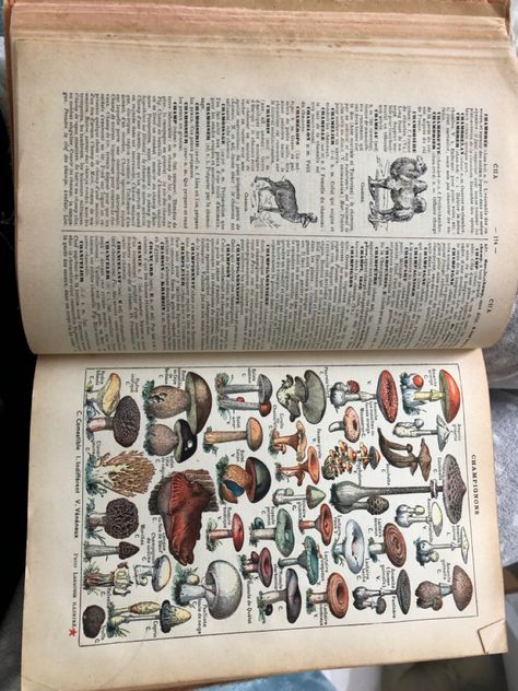 French encyclopedia/dictionary. Stunning old book. Encyclopedia Aesthetic, Cryptid Academia, Encyclopedia Illustration, Old Encyclopedias, Oc Stuff, Research Images, Aesthetic Roses, Quick Crafts, French Books