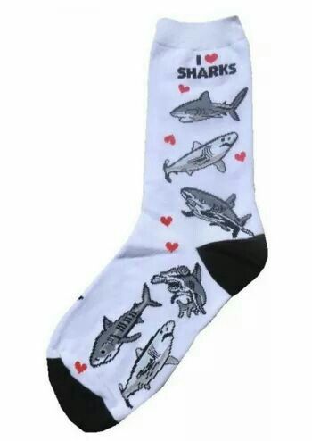 Shark Clothing, Shark Week Party, Shark Socks, Shark Pictures, Shark Bait, Shark Gifts, The Cardigans, Funky Socks, Great White Shark