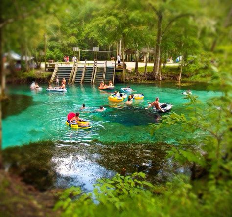 Ginnie Springs Outdoors  I grew up camping, river tubing, scuba diving, exploring miles of underwater caves and caverns, canoeing, swimming and snorkeling here... It is privately owned with over 200 acres on the Sante Fe River and 7 natural springs along with a PADI 5 star facility right on the property... Open since 1976, a lot has changed but still a fun place to get together with friends & family to cookout, drink beer while playing the guitar around the bonfire and just having a great time.. Ginnie Springs, Florida Tourism, Beautiful Florida, Tubing River, Florida Springs, Family Beach Trip, Florida Trip, North Florida, Camping Places