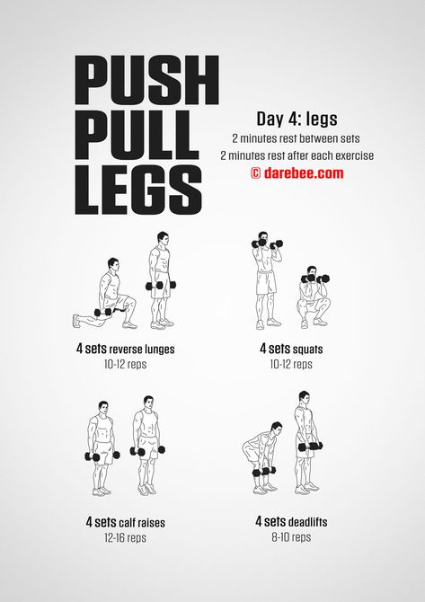 Leg Exercises With Dumbbells, Dumbell Leg Workout, Push Pull Legs Routine, Push Pull Legs Workout, Dumbbell Leg Workout, Pull Day Workout, Push Pull Legs, Full Body Dumbbell Workout, Workout Program Gym