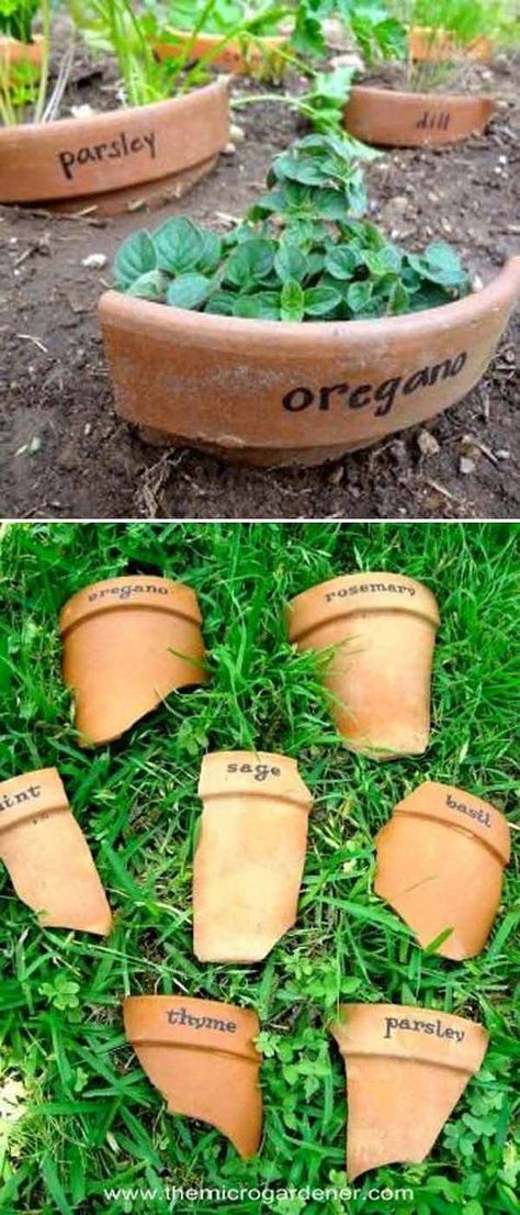 Garden Plant Markers, Have Inspiration, Garden Markers, Plant Markers, Creative Gardening, Garden Yard Ideas, Landscaping Tips, Garden Care, Diy Plants