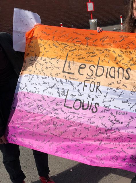 Louie's Life, Louis Core, Lesbian Pride Flag, Lgbtq Funny, Lesbian Flag, Lgbt Art, I Feel You, I Need To Know, Perfect Life