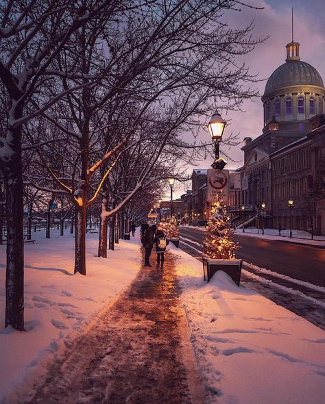 Old Montreal Photography, Montreal December, Christmas Light Show, Canada Photography, Old Montreal, Welcome Winter, Cottage Christmas, Winter Cabin, Have A Good Weekend