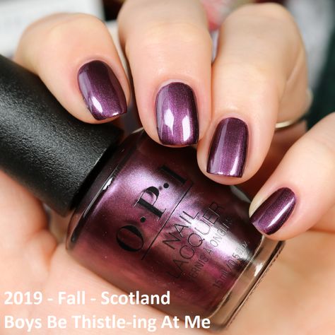 Opi Halloween Colors, Opi Catherine The Grape, Fall Nails Opi, Opi Swatches, Man Nails, Boys Be, Opi Nail Colors, Fab Nails, Nail Shimmer