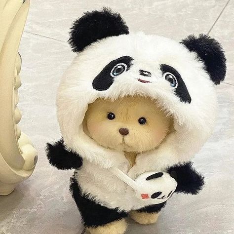 Cute Teddy Aesthetic, Panda Cute Aesthetic, Teddy Bear Aesthetic, Panda Teddy Bear, 헬로키티 배경화면, Teddy Bear Wallpaper, Cute Squishies, Cute Bunny Cartoon, Kawaii Plushies