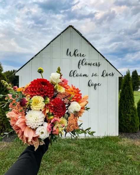 You Pick Berry Farm, You Pick Flower Garden, Flower Farm Sign, U Pick Flower Farm Ideas, Flower Farm Names, U Pick Flower Farm, You Pick Flower Farm, Flower Farm Stand, Flower Farm Aesthetic