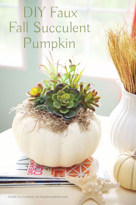 DIY Faux Fall Succulent Pumpkin Craft.  Fun fall decor idea! Diy Pumpkins Crafts, Succulent Pumpkin, Succulent Centerpiece, Pumpkin Diy, Autumn Diy, Fall Pumpkin Crafts, Pumpkin Craft, Succulent Centerpieces, Succulent Cuttings