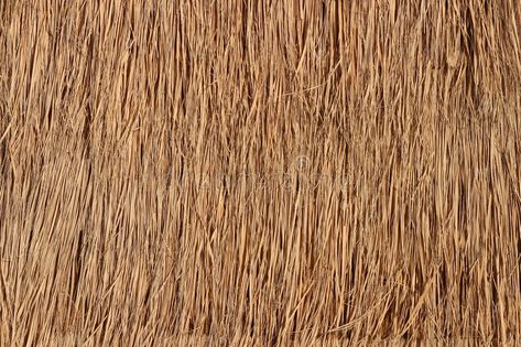 Roof Texture Photoshop, Roof Background, Roof Texture, Straw Roof, Bamboo Roof, Grass Roof, Bahay Kubo, Unique Bedroom Design, Coconut Bowls