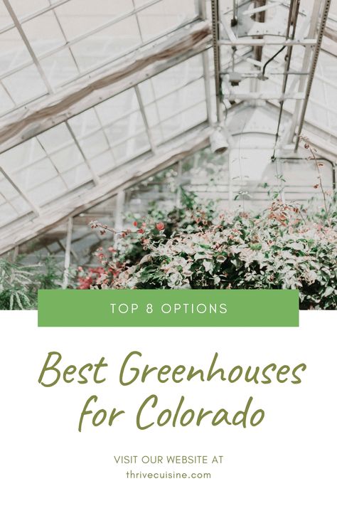 In this guide, we’ll discuss the best greenhouses for Colorado. We’ll also explain why we chose each one, so you understand how to pick a greenhouse of your own. We will show you the advantages and disadvantages of the greenhouses for Colorado climate. Colorado Greenhouse, Colorado Gardening, Winter Greenhouse, Hobby Greenhouse, Best Greenhouse, Outdoor Greenhouse, Moving To Colorado, Alpaca Farm, Water Collection