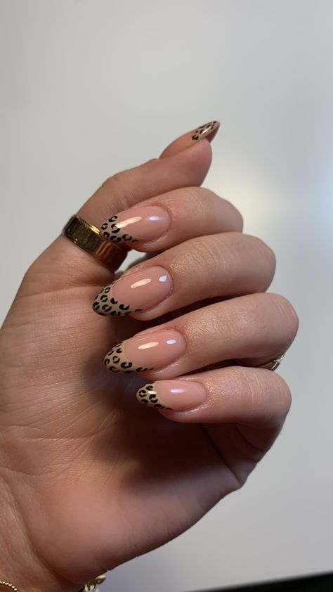 Leopard French Nails Almond, Almond Lepord Nails, Leopard Almond Nails Cheetah Print, Leopard Print French Tips Almond, Cheetah Print French Tip Nails Almond, French Tip Leopard Nails, Cheetah French Nails, Leopard Print French Tip Nails, Leopard Print Almond Nails