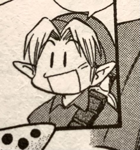 Pfp Manga Panel, Ocarina Of Time Link, Link Pfp, Pfp Manga, Happy Boy, Ocarina Of Time, Zelda