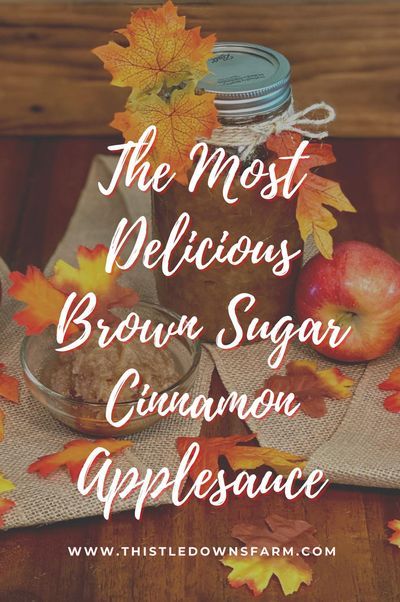 Get into the spirit of apple season with this wonderfully delicious brown sugar cinnamon applesauce! This applesauce recipe is incredibly simple and fun to make, and is sure to win over even the pickiest eaters. So give it a try and say hello to the flavor of autumn! Check out more homemade recipes at ThistleDownsFarm.com | #applesauce #homemadeapplesauce #farmtotable #brownsugar #cinnamon Flavored Applesauce, Farmhouse Food, Homemade Brown Sugar, Canning Apples, Cinnamon Applesauce, Applesauce Recipe, Brown Sugar Recipes, Yummy Fall Recipes, Apple Sauce Recipes