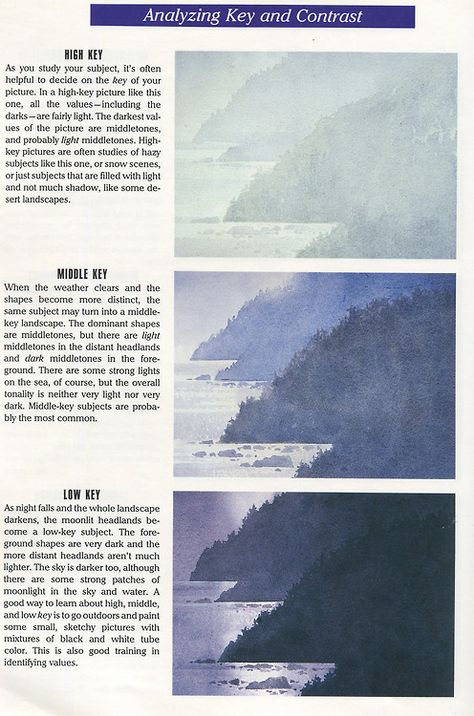 low vs med vs high key, independent of atmospheric concerns Concept Painting, Animation News, News Art, Art Advice, Principles Of Art, High Key, Learn Art, Photography Techniques, Environmental Art