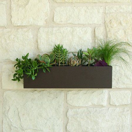 Urban Mettle Clarkesville Steel Wall Planter Succulent Hanging Planter, Wall Planters Outdoor, Wood Succulent Planter, Ceramic Wall Planters, Trough Planter, Metal Wall Planters, Succulent Planter Diy, Plastic Planter Boxes, Wall Mounted Planters