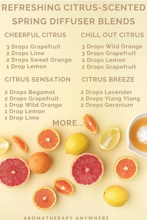 Use these essential oil blends to fill your home with wonderful refreshing spring aromas. Get these essential oil blend recipes here. Essential Oil Citrus Blend, Spring Scents Essential Oils, Citrus Essential Oil Diffuser Blends, Citrus Oil Diffuser Blends, Refreshing Diffuser Blends, Spring Oil Diffuser Blends, Citrus Essential Oil Blends, Citrus Diffuser Blends, Spring Essential Oil Blends