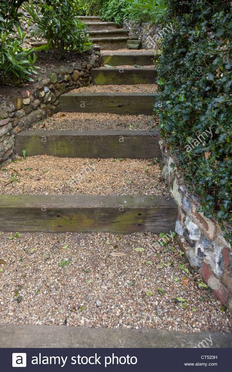 Download this stock image: Garden steps leading uphill - Gravel covered steps made from railway sleepers - CT523H from Alamy's library of millions of high resolution stock photos, illustrations and vectors. Garden Railway Sleepers, Sleeper Steps, Sloped Backyard Landscaping, Landscape Stairs, Railway Sleepers, Hillside Garden, Garden Railway, Landscaping Retaining Walls, Sloped Backyard