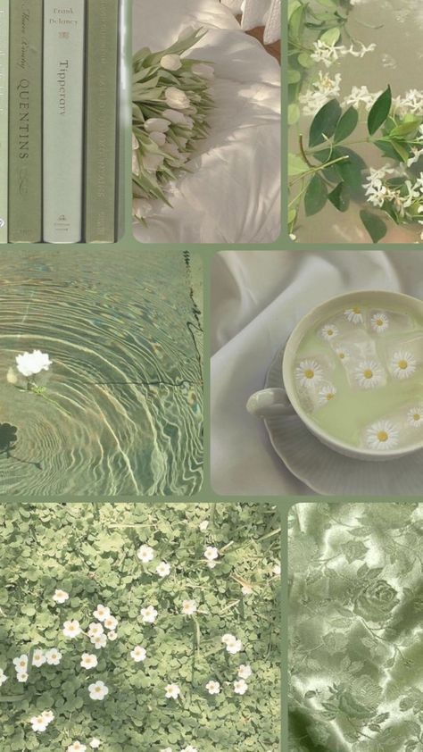 Background Collage Aesthetic, Light Green Rooms, Mint Green Wallpaper Iphone, Green Aesthetic Tumblr, Background Collage, Green Inspo, Mint Green Wallpaper, Light Flowers, Pistachio Color