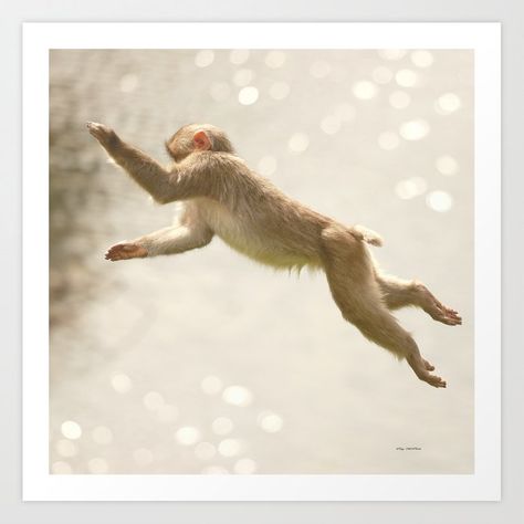 Monkey Jumping, Jump Art, Monkey Jump, Green Balloon, Unique Throw Pillows, Outdoor Style, Down Pillows, Designer Throw Pillows, Square Throw Pillow